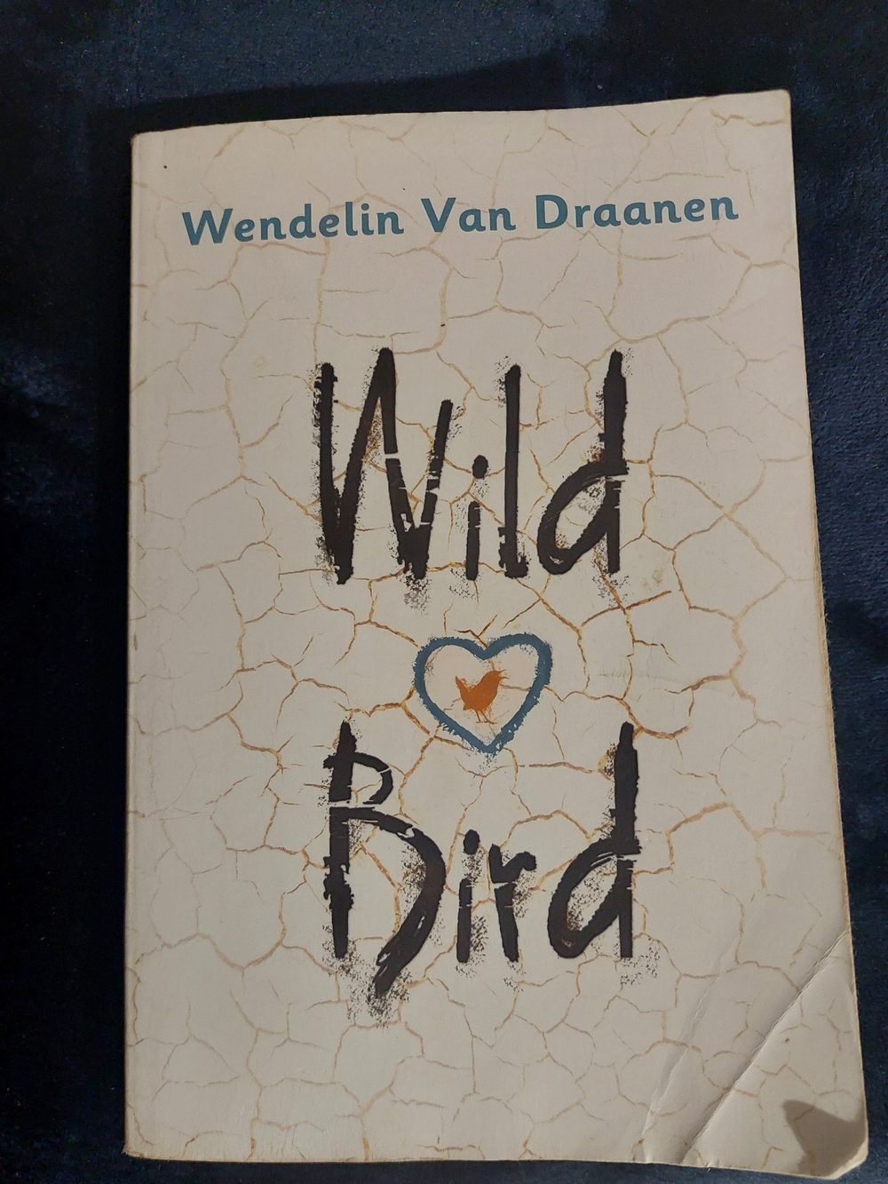Wild Bird by Wendelin Van Draanen - Scholastic Paperback